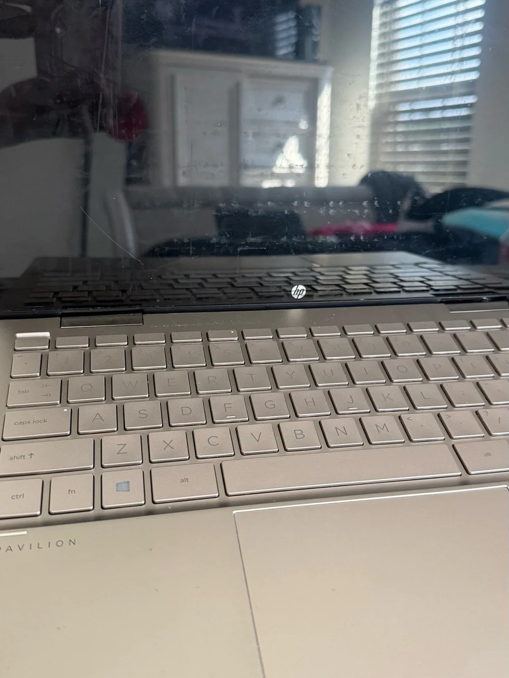 HP Silver-White Laptop with Center Logo